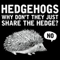 Hedgehogs Why Don't They Just Share The Hedge Funny Impact Tech Backpack