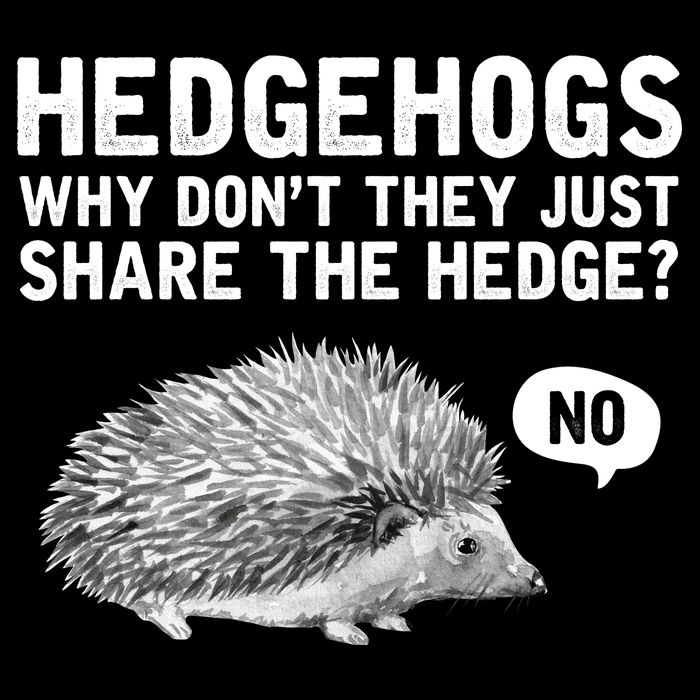Hedgehogs Why Don't They Just Share The Hedge Funny Impact Tech Backpack