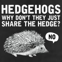 Hedgehogs Why Don't They Just Share The Hedge Funny Tumbler