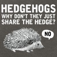 Hedgehogs Why Don't They Just Share The Hedge Funny Cotton Canvas Backpack