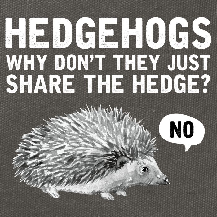 Hedgehogs Why Don't They Just Share The Hedge Funny Cotton Canvas Backpack