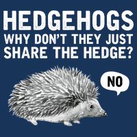 Hedgehogs Why Don't They Just Share The Hedge Funny Button