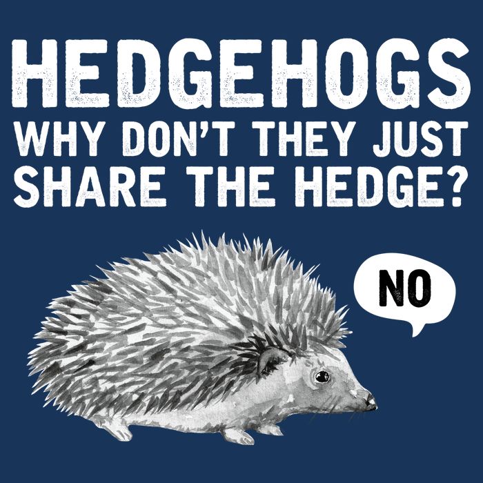 Hedgehogs Why Don't They Just Share The Hedge Funny Womens T-Shirt