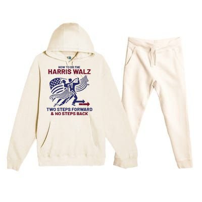 Harris Walz For Lucid Nation Election 2024 Premium Hooded Sweatsuit Set