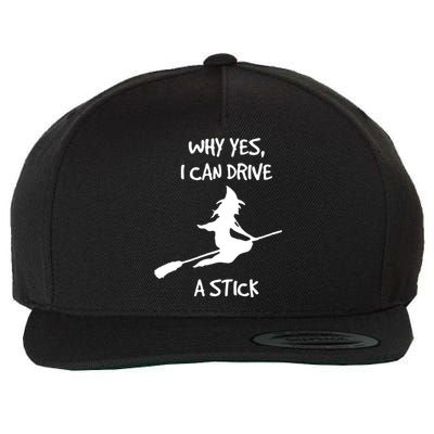 Halloween Witch Funny Why Yes I Can Drive A Stick Gift Wool Snapback Cap