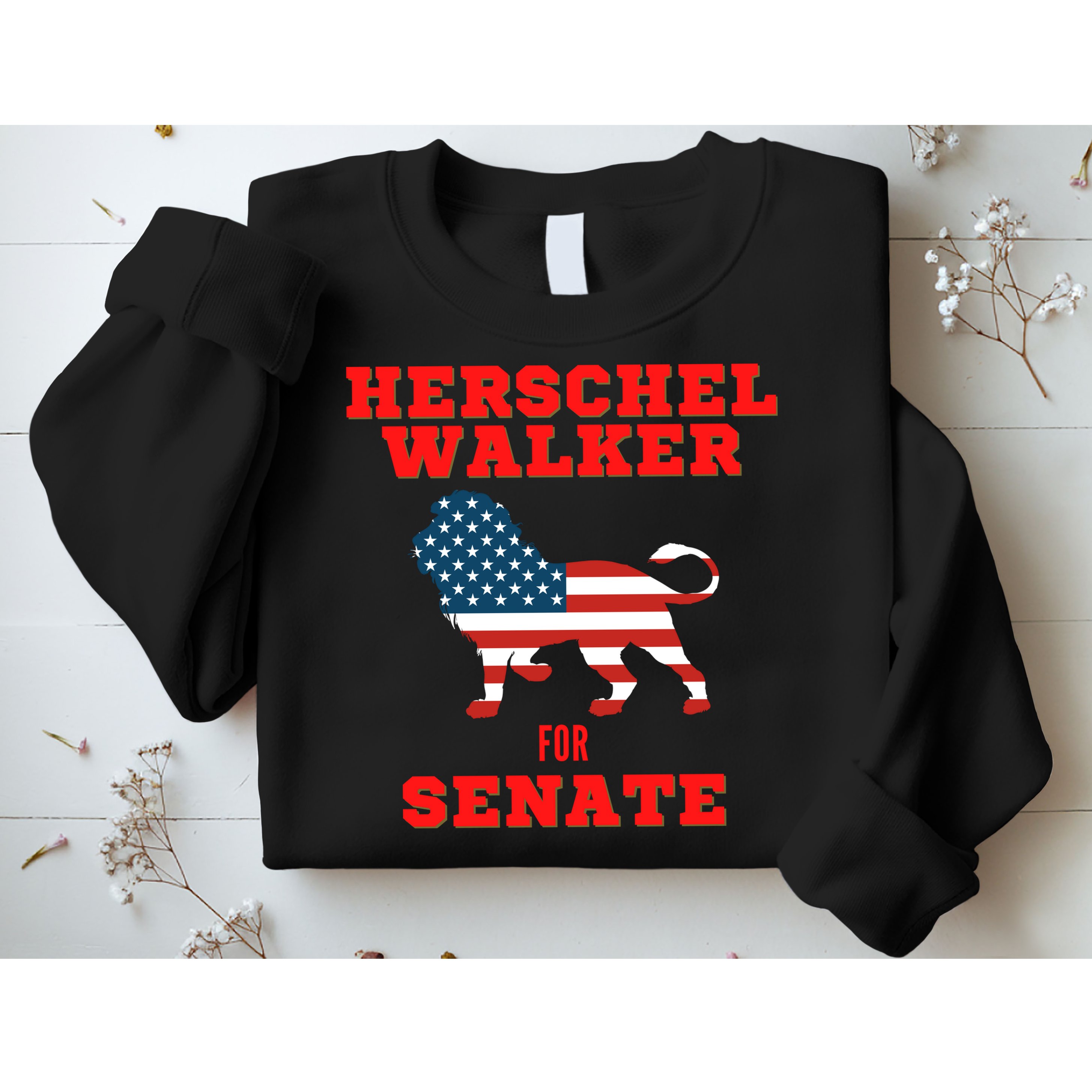 Herschel Walker For Senate Sweatshirt