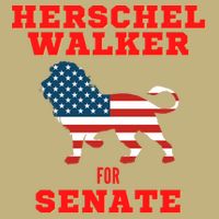 Herschel Walker For Senate Hoodie
