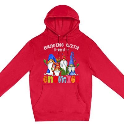 Hanging With Gnomies Gnome Merry Christmas Cute Gnomes Pajamas Premium Pullover Hoodie