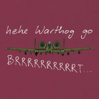 Hehe Warthog Go Brrrrrrrrt A 10 Thunderbolt Ii Military Jet 16oz Travel Tumbler