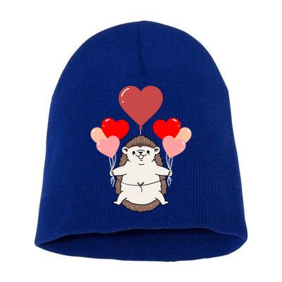 Hedgehog With Heart Balloons Valentines Day Hedgehog Gift Short Acrylic Beanie