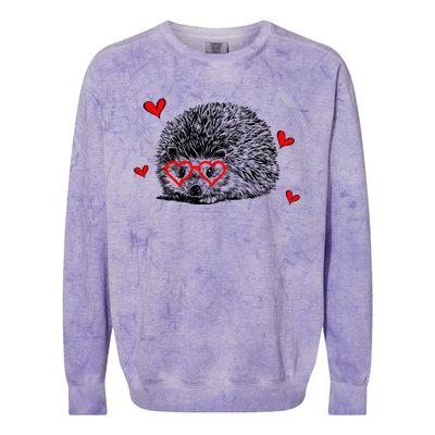 Hedgehog With Heart Glasses Valentines Day Hedgie Mom Cute Gift Colorblast Crewneck Sweatshirt