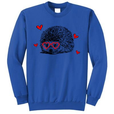 Hedgehog With Heart Glasses Valentines Day Hedgie Mom Cute Gift Sweatshirt