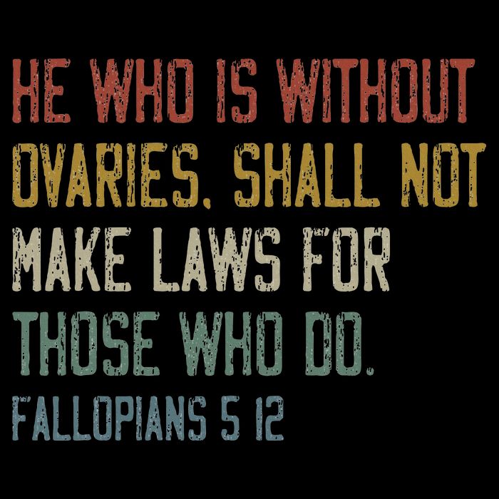 He Who Is Without Ovaries Shall Not Make Laws For Those Kids T-Shirt