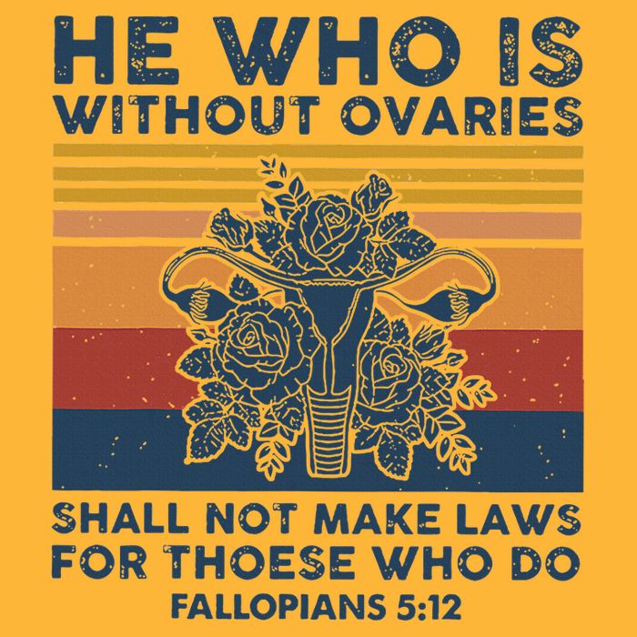 He Who Is Without Ovaries Shall Not Make Laws For Those Who Pom Pom 12in Knit Beanie