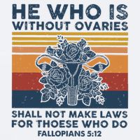 He Who Is Without Ovaries Shall Not Make Laws For Those Who Sueded Cloud Jersey T-Shirt