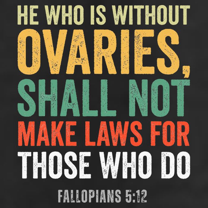 He Who Is Without Ovaries Shall Not Make Laws Fallopians Knit Cap Winter Beanie