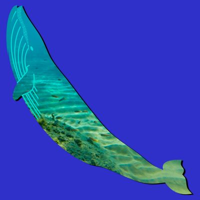Humpback Whale Lovers Silhouette Earth Day And Ocean Week Gift T-Shirt