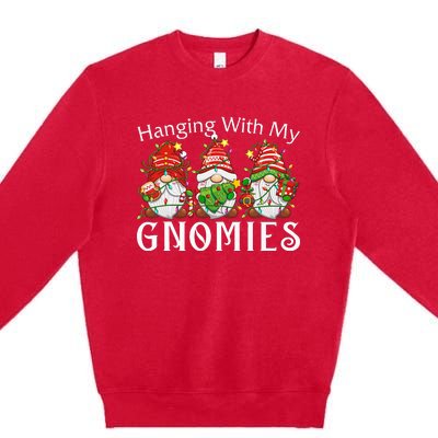 Hanging With My Gnomies Family Christmas Pajamas Premium Crewneck Sweatshirt