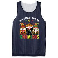 Hangin With My Gnomigos 3 Mexican Gnomes Cinco De Mayo Mesh Reversible Basketball Jersey Tank