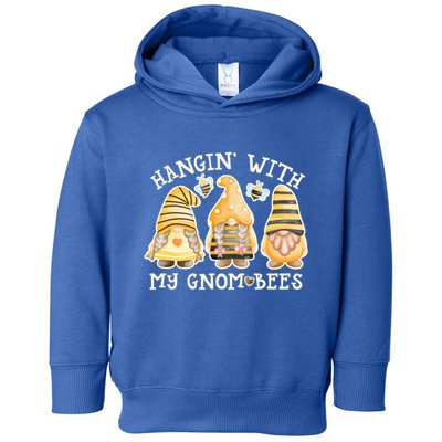 Hanging With My Gnombees Cute Bumble Bee Gnome Gift Toddler Hoodie