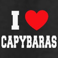 Home Where My Capybaras Gifts for Capybaras Lovers  Golf Towel