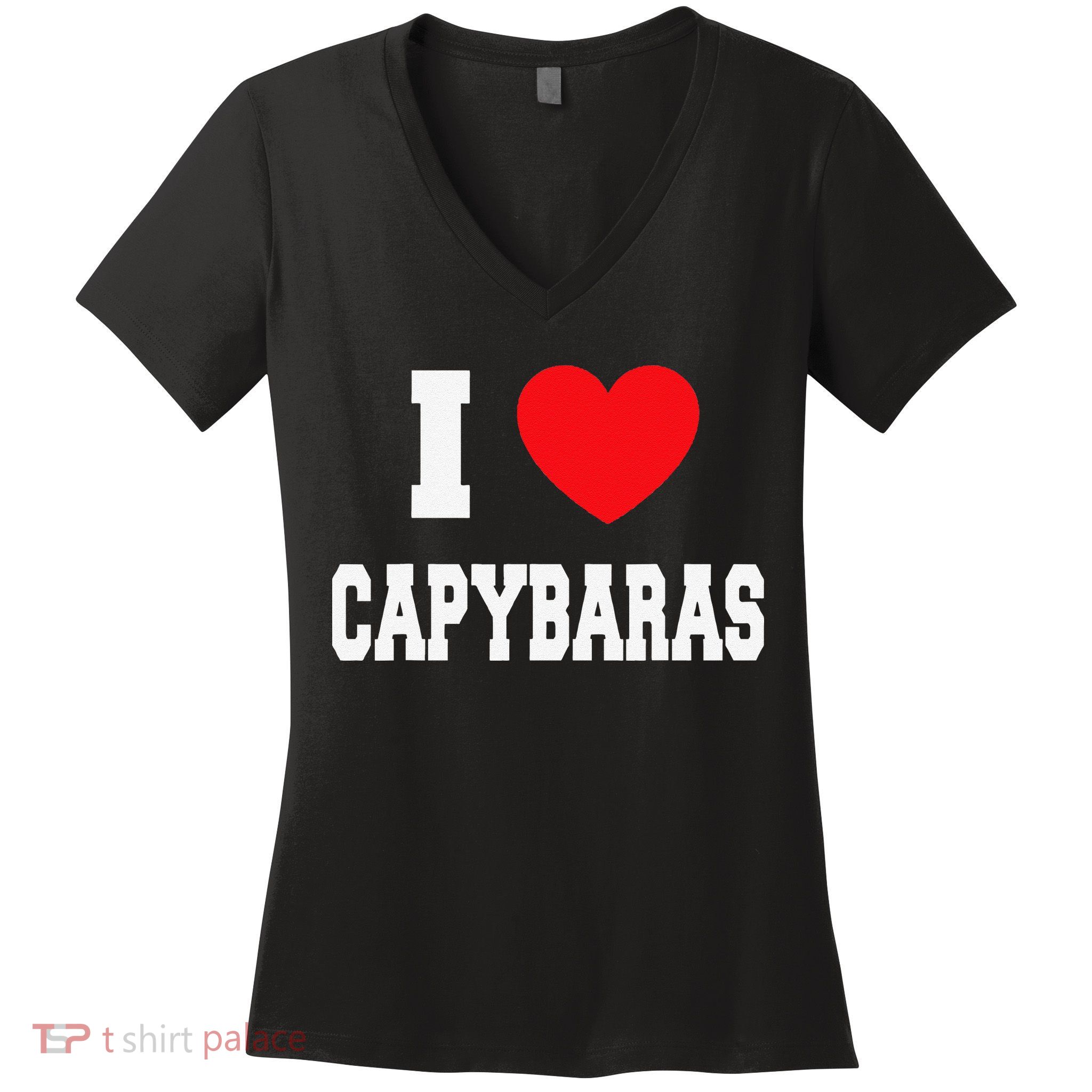 Home Where My Capybaras Gifts for Capybaras Lovers  Women's V-Neck T-Shirt