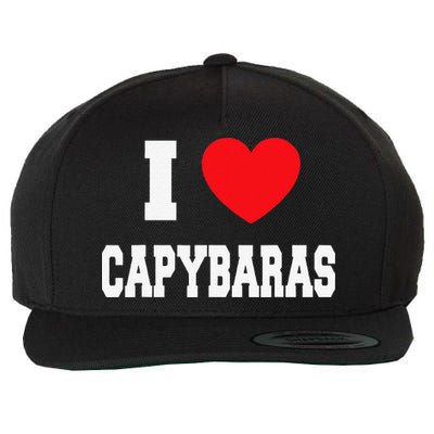 Home Where My Capybaras Gifts for Capybaras Lovers  Wool Snapback Cap