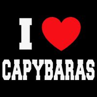 Home Where My Capybaras Gifts for Capybaras Lovers  Wool Snapback Cap