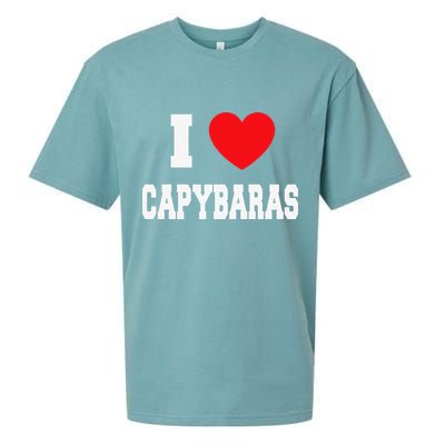 Home Where My Capybaras Gifts for Capybaras Lovers  Sueded Cloud Jersey T-Shirt