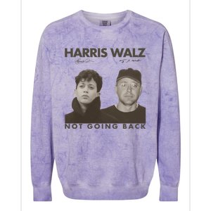 Harris Walz Not Going Back 80s Retro Photo 2024 Election Colorblast Crewneck Sweatshirt