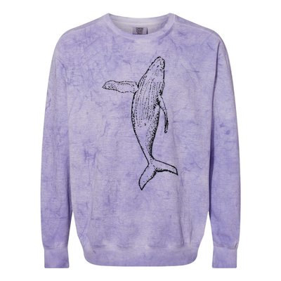 Humpback Whale | Playful And The Whales Colorblast Crewneck Sweatshirt