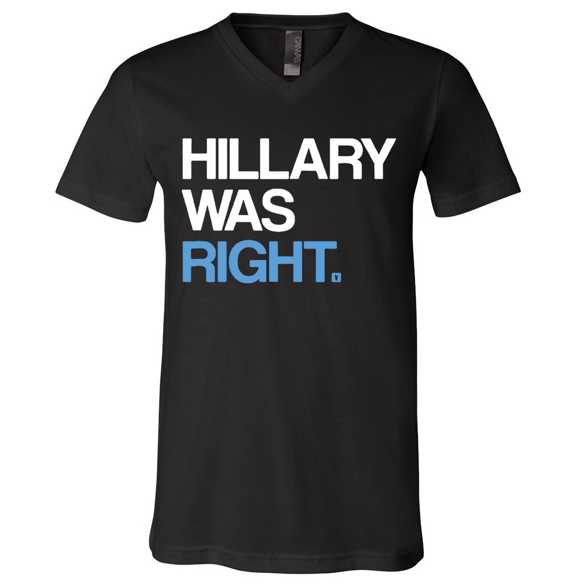 Hillary Was Right Liberal Democrat V-Neck T-Shirt