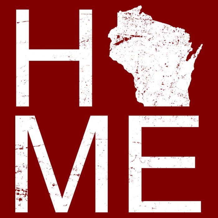 Home Wisconsin State Pride Vintage T-Shirt