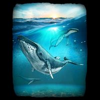 Humpback Whale Sea Ocean Visor