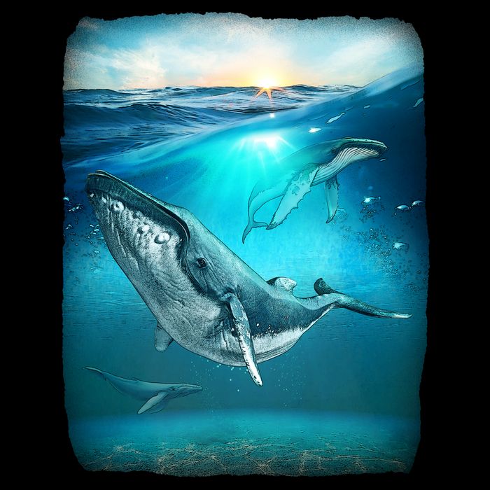 Humpback Whale Sea Ocean Visor