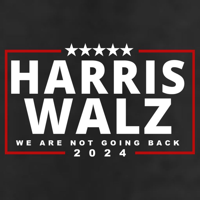 Harris Walz We Are Not Going Back 2024 Election 7 Panel Mesh Trucker Snapback Hat
