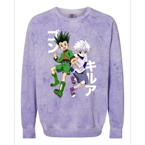 Hunter X Hunter Gon And Killua Gift Colorblast Crewneck Sweatshirt