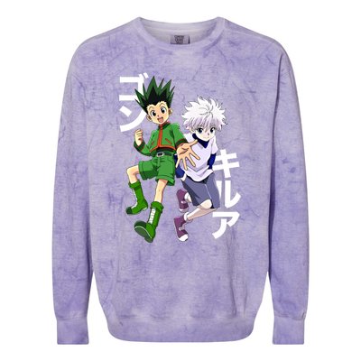 Hunter X Hunter Gon And Killua Gift Colorblast Crewneck Sweatshirt