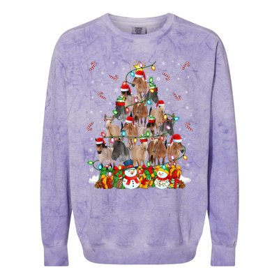 Horse Xmas Lighting Santa Horse Christmas Tree Meaningful Gift Colorblast Crewneck Sweatshirt