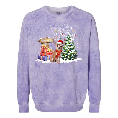 Holiday Xmas Light Santa Chihuahua Dog Christmas Tree Great Gift Colorblast Crewneck Sweatshirt