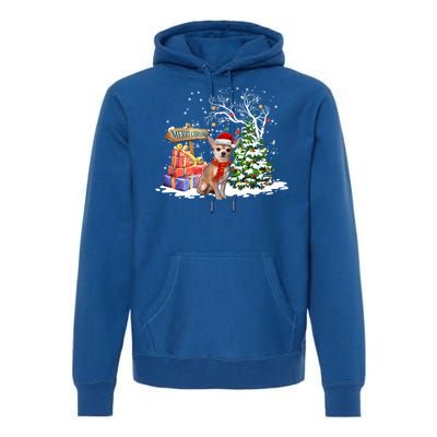 Holiday Xmas Light Santa Chihuahua Dog Christmas Tree Great Gift Premium Hoodie