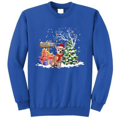 Holiday Xmas Light Santa Chihuahua Dog Christmas Tree Great Gift Tall Sweatshirt