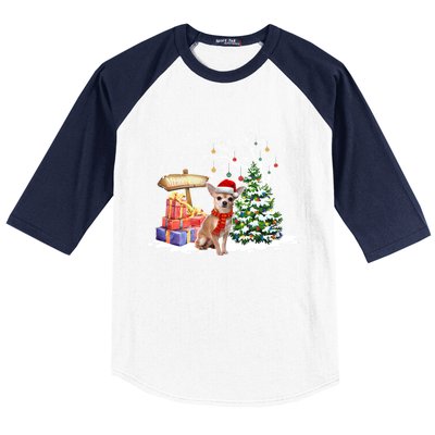 Holiday Xmas Light Santa Chihuahua Dog Christmas Tree Great Gift Baseball Sleeve Shirt