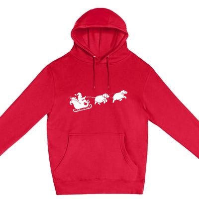 Hippopotamus Xmas Santa Sleigh Hippos Christmas Premium Pullover Hoodie