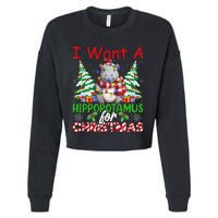 Hippo Xmas Tree Lights I Want A Hippopotamus For Christmas Gift Cropped Pullover Crew