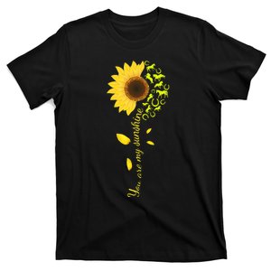 Horse You Are My Sunshine Horse Lover T-Shirt