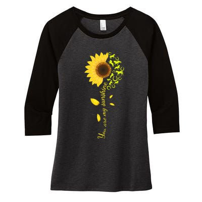 Horse You Are My Sunshine Horse Lover Women's Tri-Blend 3/4-Sleeve Raglan Shirt