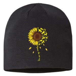 Horse You Are My Sunshine Horse Lover Sustainable Beanie