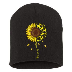 Horse You Are My Sunshine Horse Lover Short Acrylic Beanie