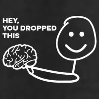 Hey You Dropped This Brain Funny Sarcastic 7 Panel Mesh Trucker Snapback Hat